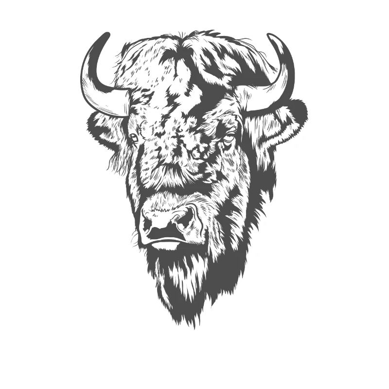 Bison head animal