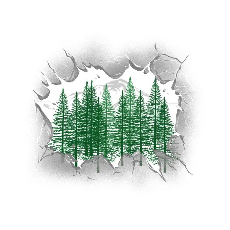 Forest Spruce Coniferous Forest Nature Trees Tree