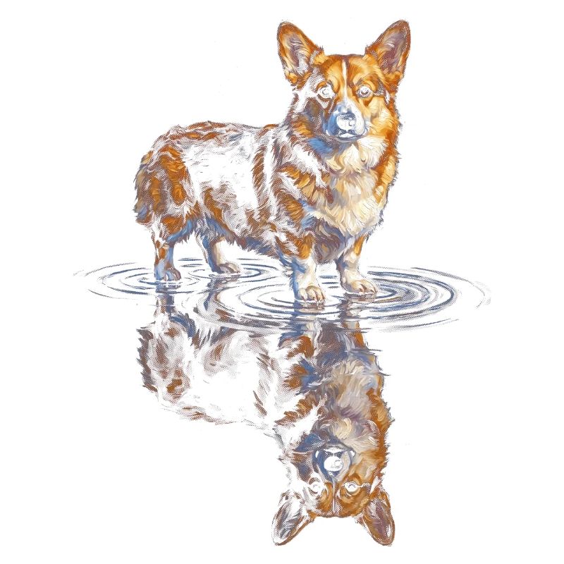 Wasserreflex Corgi 