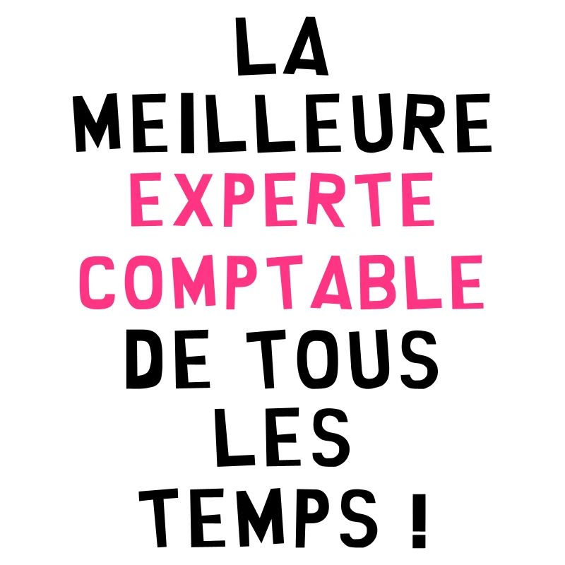 Expert Comptable / Comptabilité / Comptable /