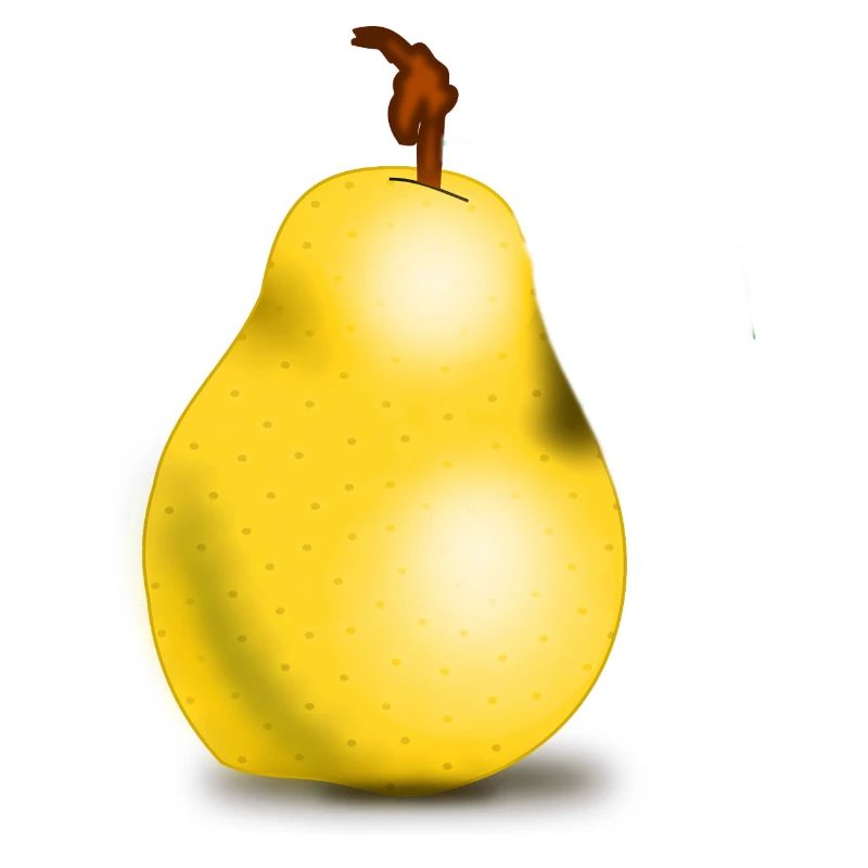 Pear Fruit Fruit