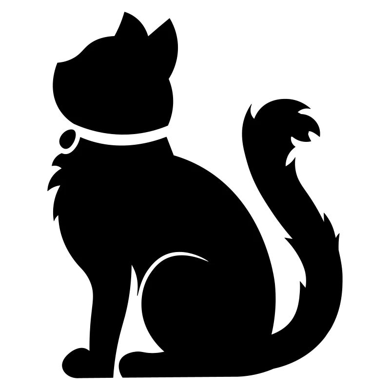 Fluffy cat / fluffy cat