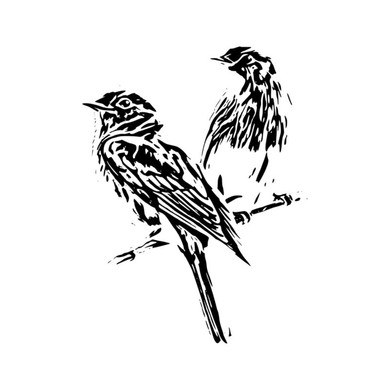 birds