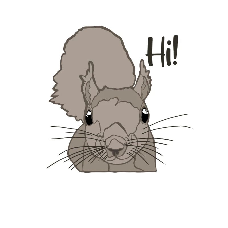 Grauhörnchen Squirrel Fuchshörnchen Eichhörnchen