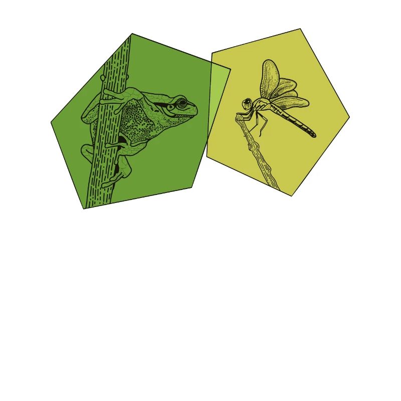 Toad, tadpole, tree frog, frog breeder, frog