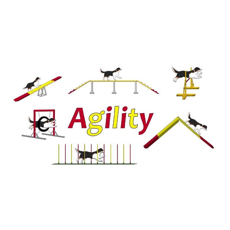 Agility Total Australian Shepherd black