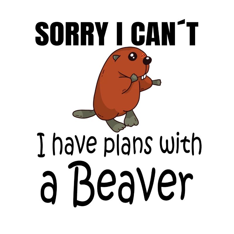 BEAVER: Plans with a Beaver