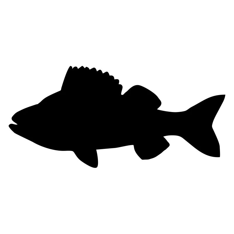 Fisch