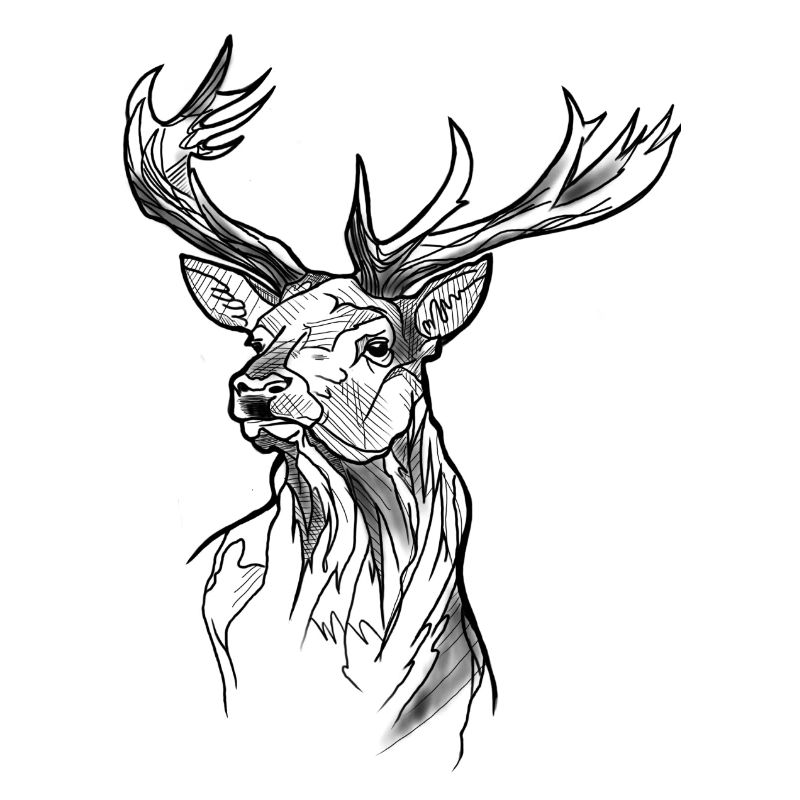 cerf