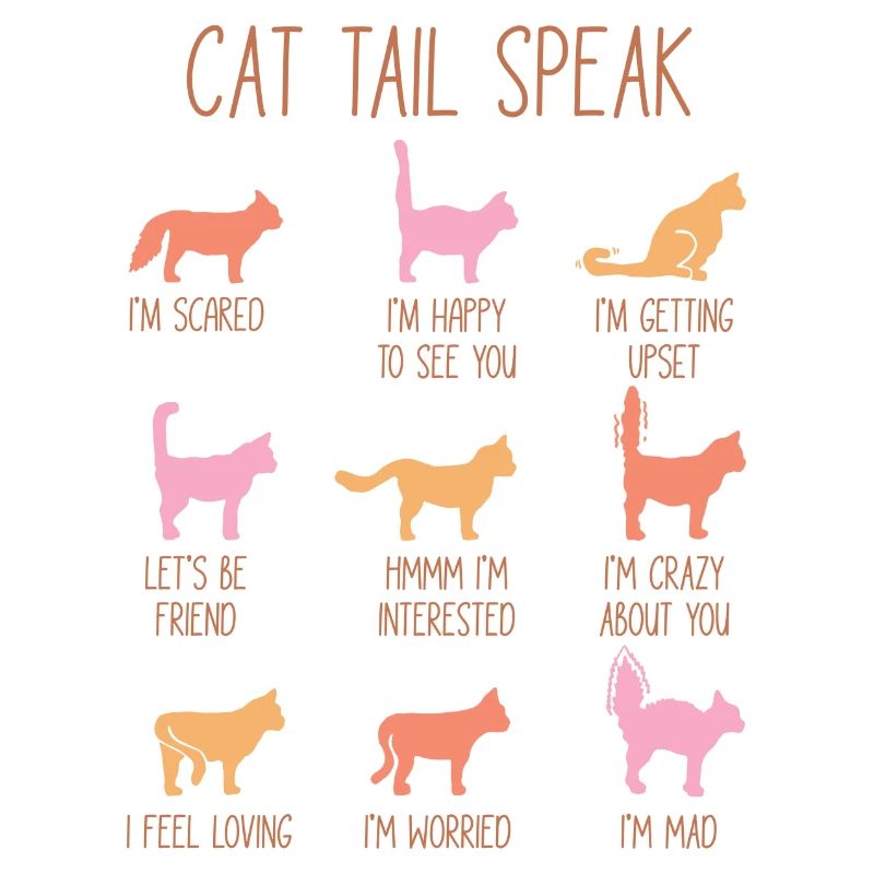 Cat Tail Speak