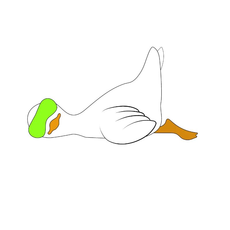 duck funny lazy saying