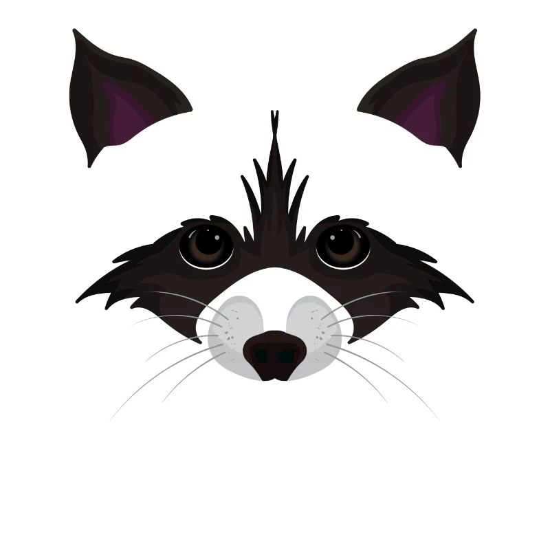 Süßes Waschbär Gesicht
