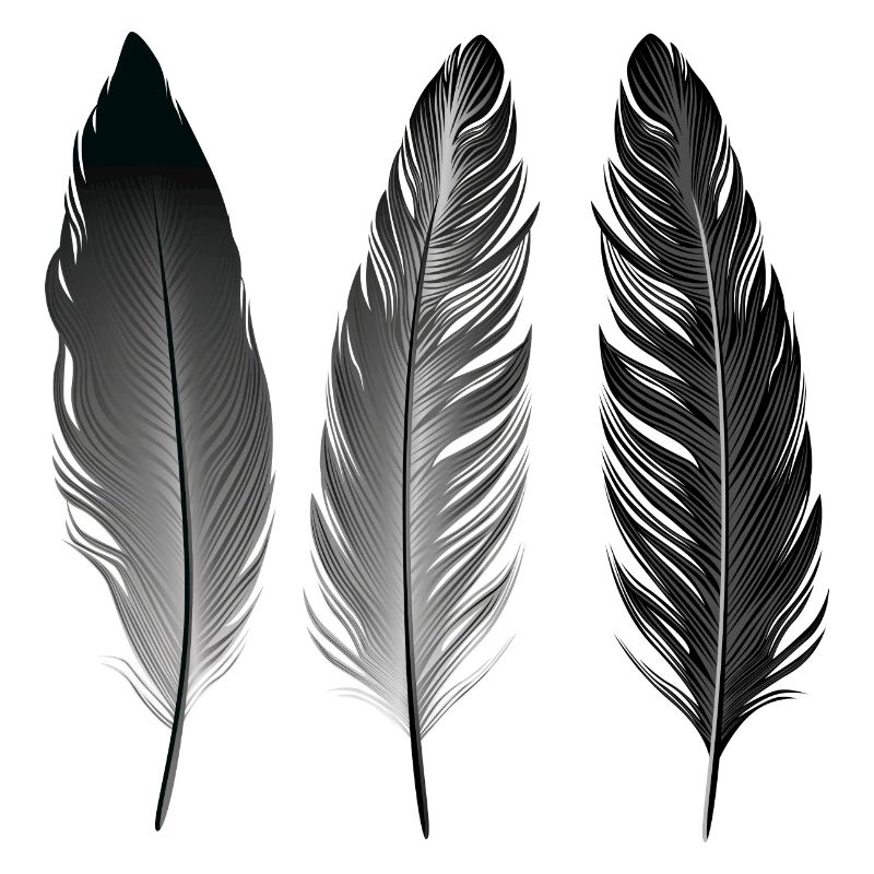 Boho | Feather Style | Illustration