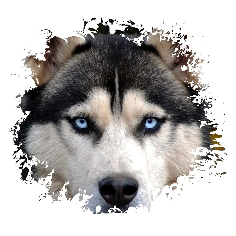 Husky