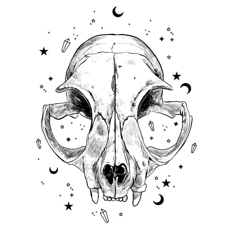Cat skull cat magic witch moon stars