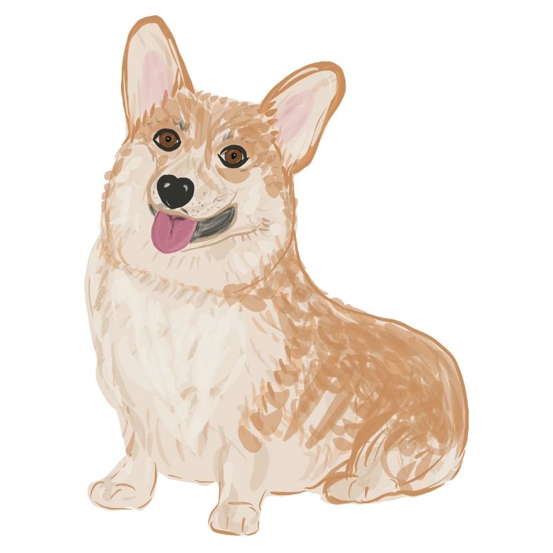 Sitzender Corgi