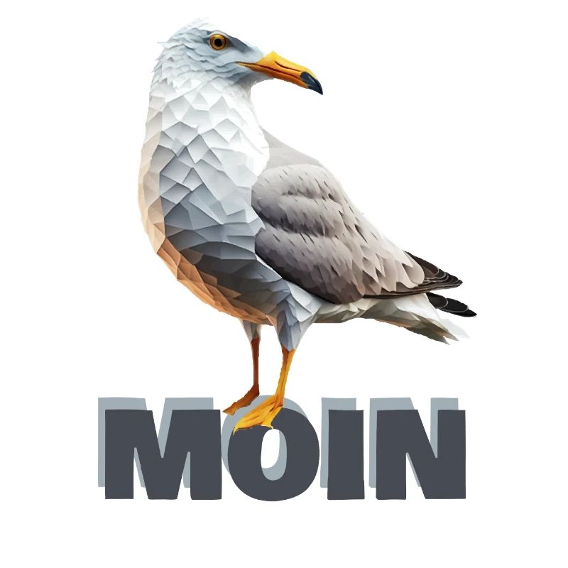 Moin Möwe Seemöwe Polygon Meer