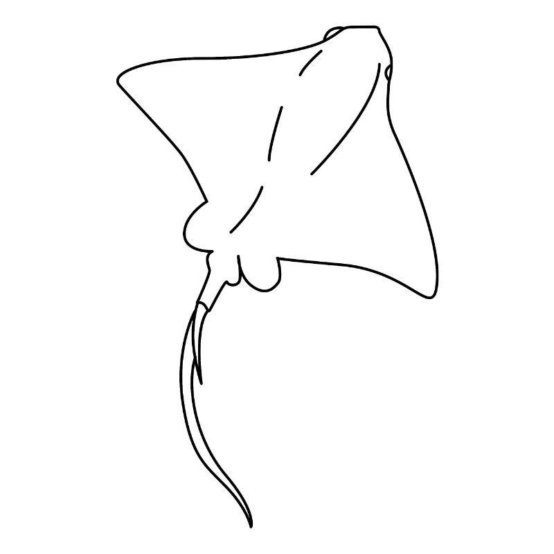 Rochen