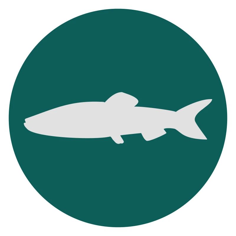 Fisch
