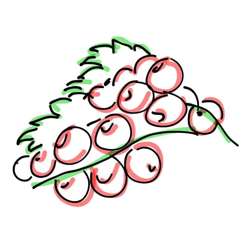 Johannisbeeren