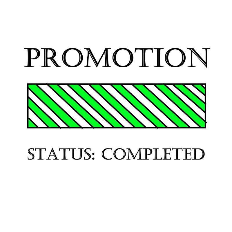 Promotion gift idea