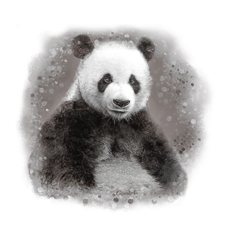 panda