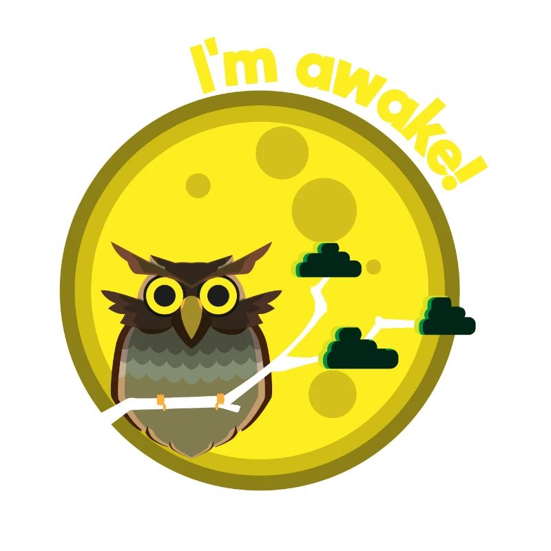 Owl Moonlight Overturned Night Sleeping Gift