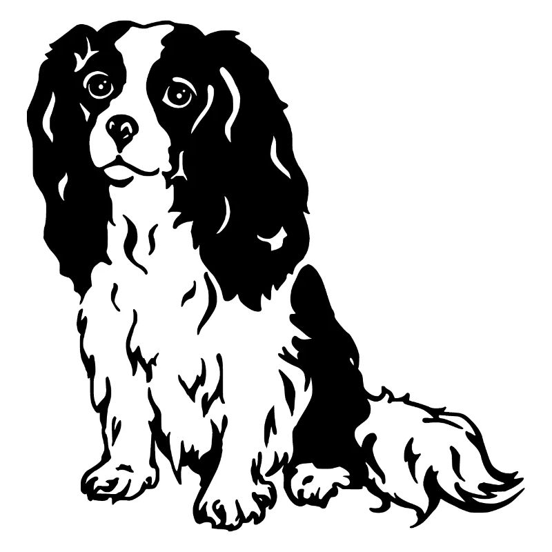 Cavalier King Charles Spaniel