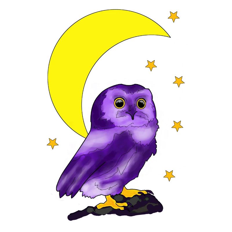 Chouette devant le croissant de lune