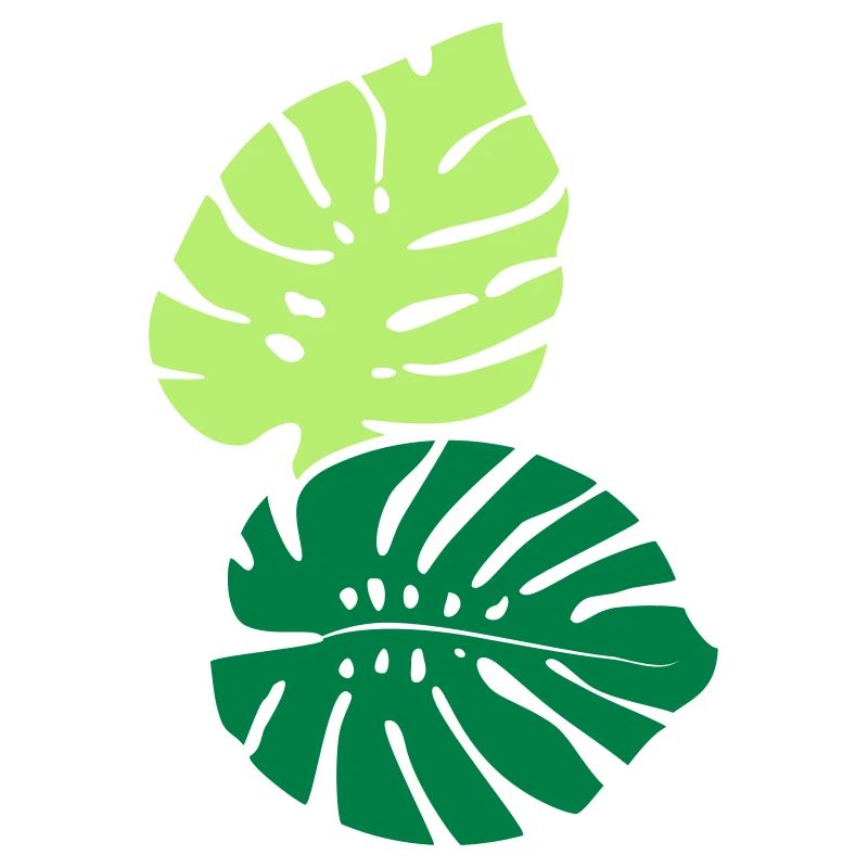 Deux MonsterAblättr / Two Monstera Leaves (2c)