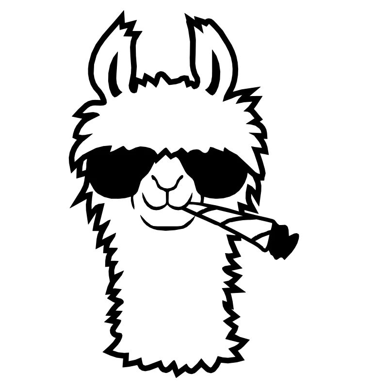 Lama Avec Joint
