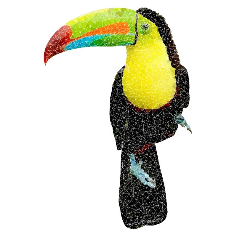 Vogel ~ der Tukan