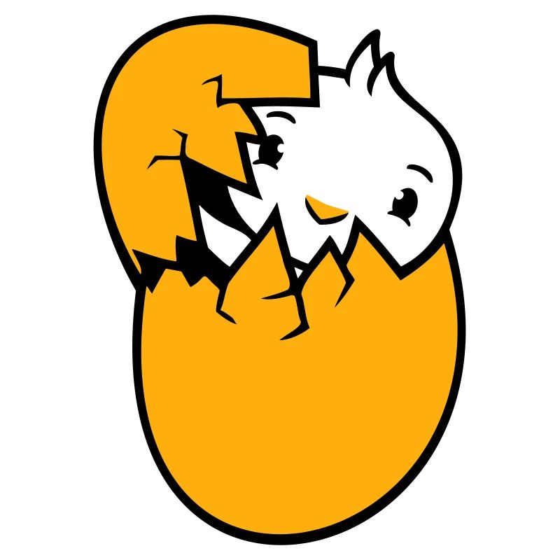 Bird Duck Hatching Egg Easter Easter Egg Baby Child