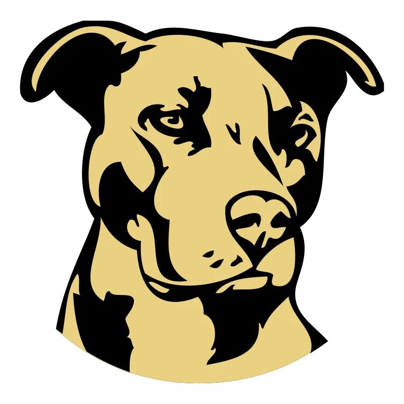 Pitbull zweifarbig - Hund Kampfhund