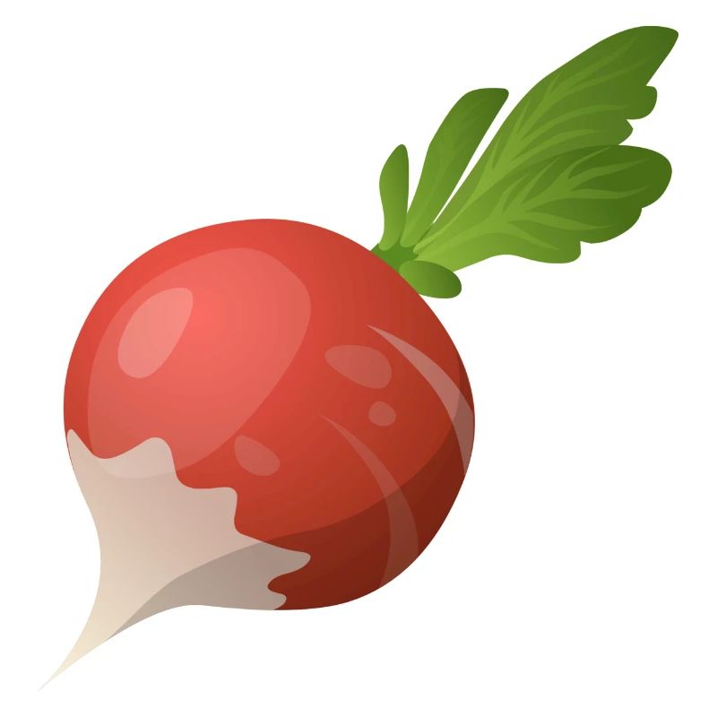 Radischen