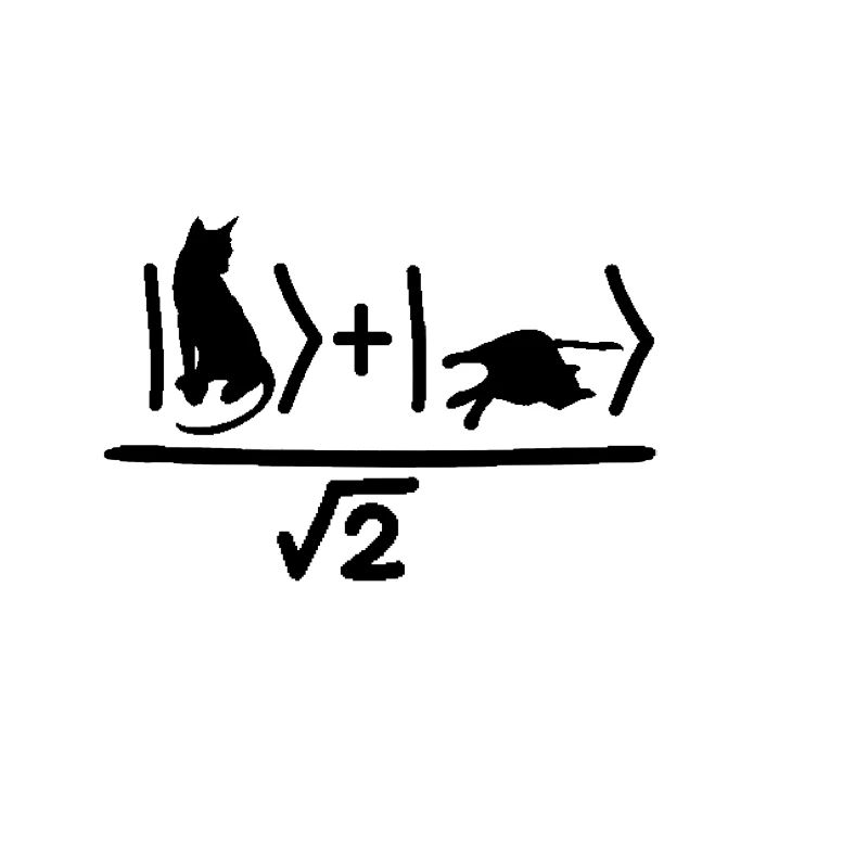 Schrödinger's cat Quantum Physics