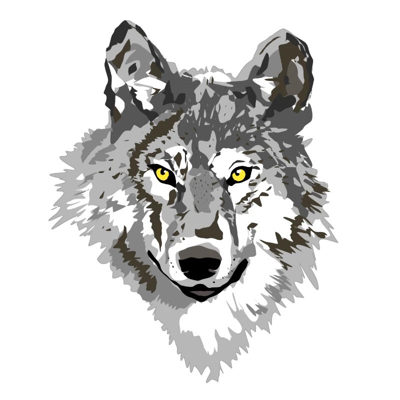 Wolf dark
