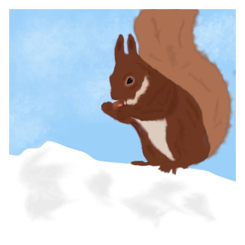 Eichhörnchen