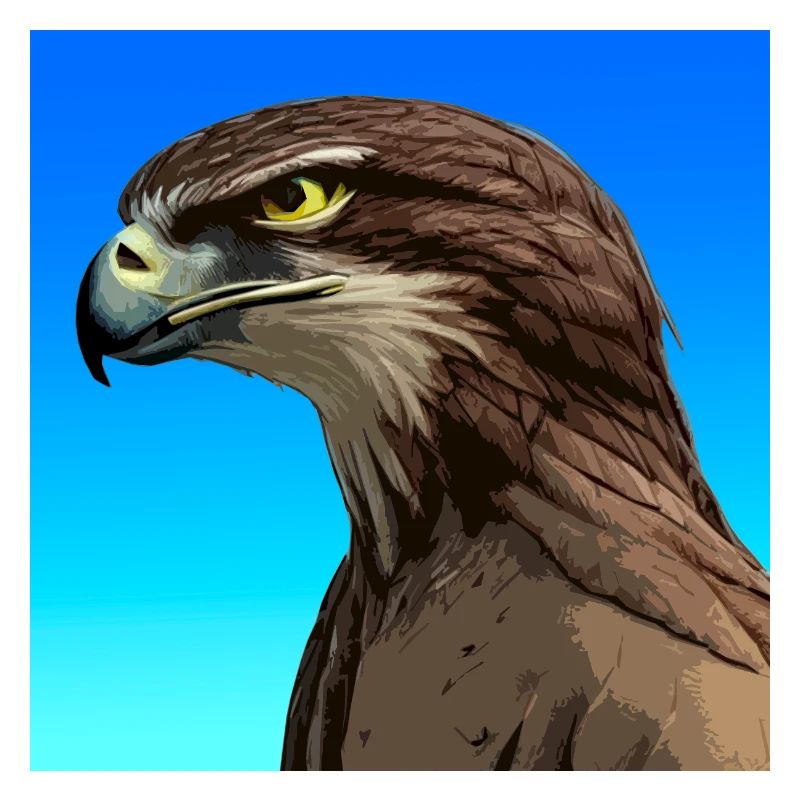Eagle, Alcon, illustration