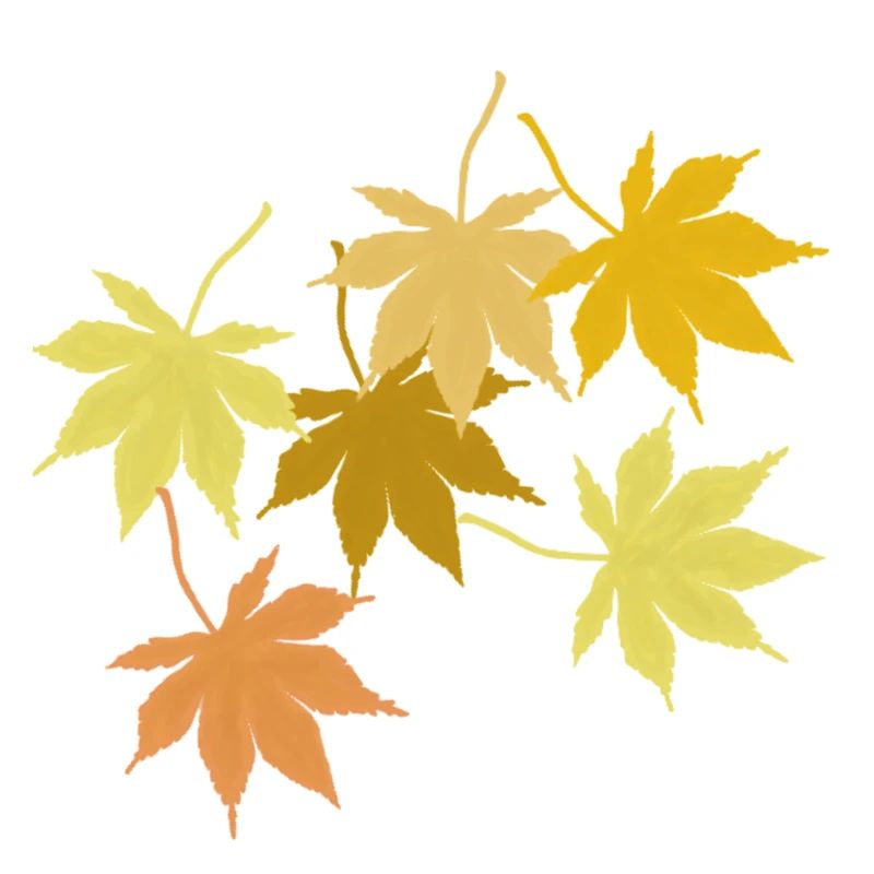 Maple leaf