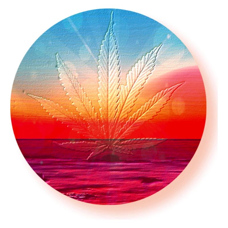 Hemp leaf before sunset