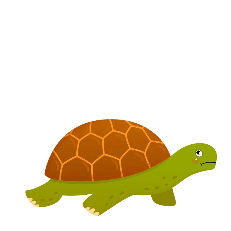 Start Your Day With Positive Energy Grumpy Turtle