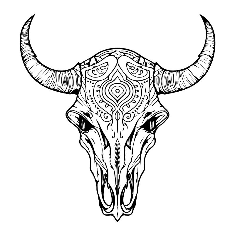Crâne de vache Boho