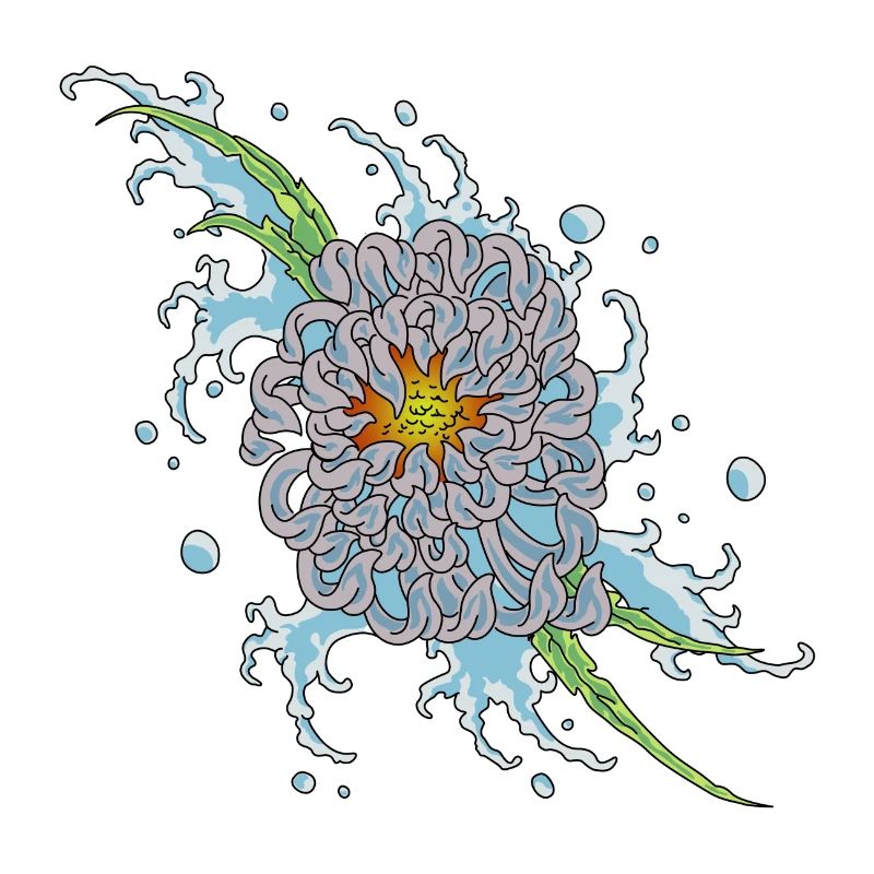 chrysanthemum 2