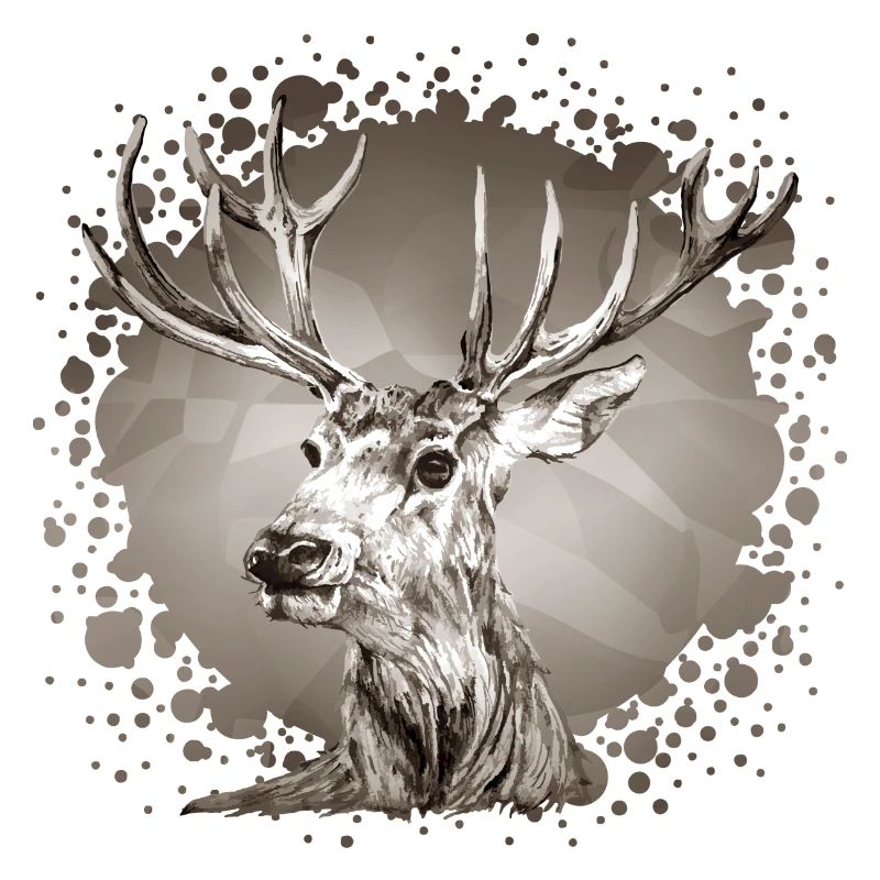 Cerf