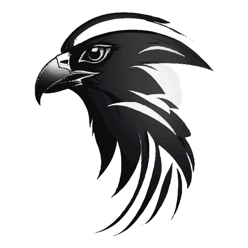 Adler Greifvogel Kopf