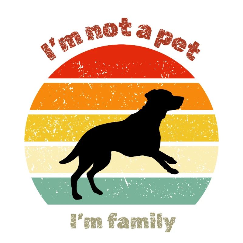 Labrador rétro