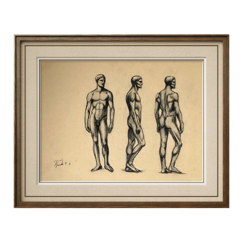 Anatomical Studies