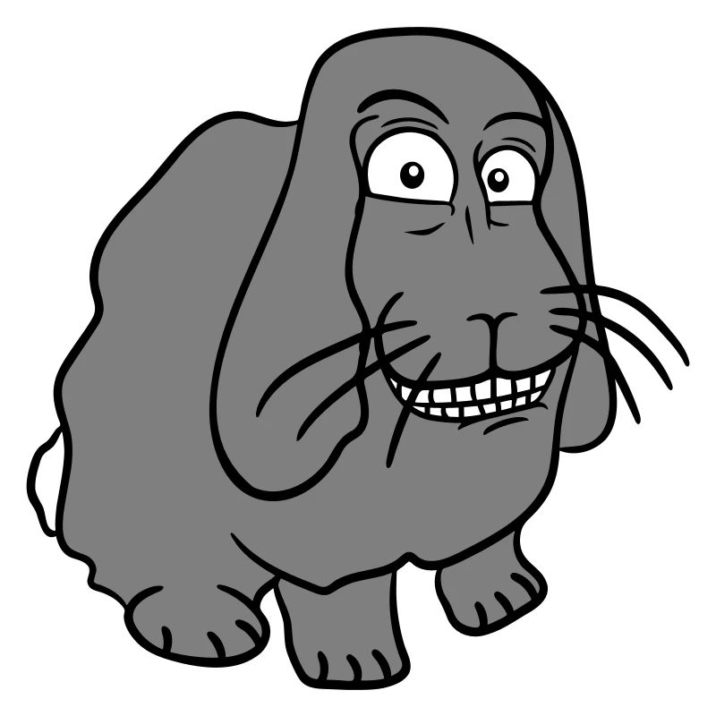 Bunny Rabbit Funny Face Grimace Grin