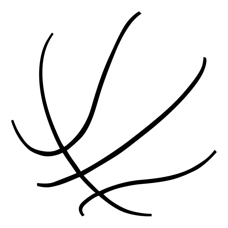 Basketball, dunking